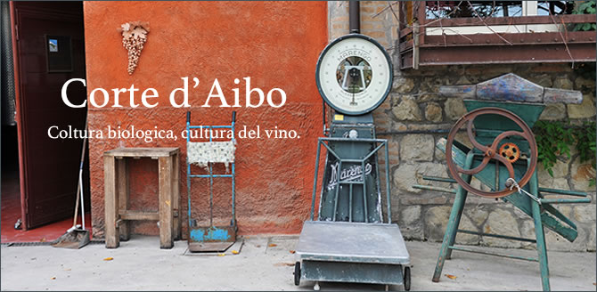 Corte d'Aibo