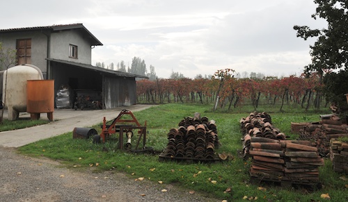 Fattoria degli Orsi 葡萄畑とワイナリー