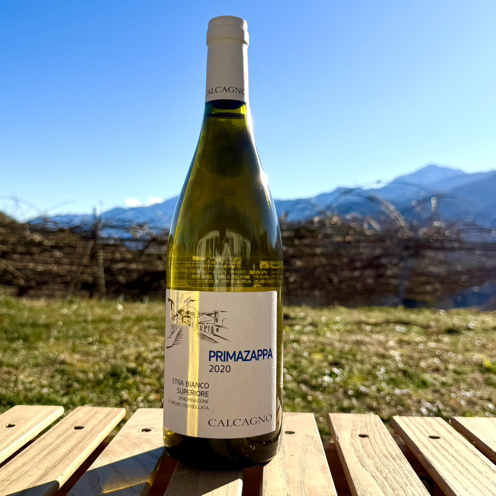 エトナ　ビアンコ　スーペリオーレ　プリマザッパ2020