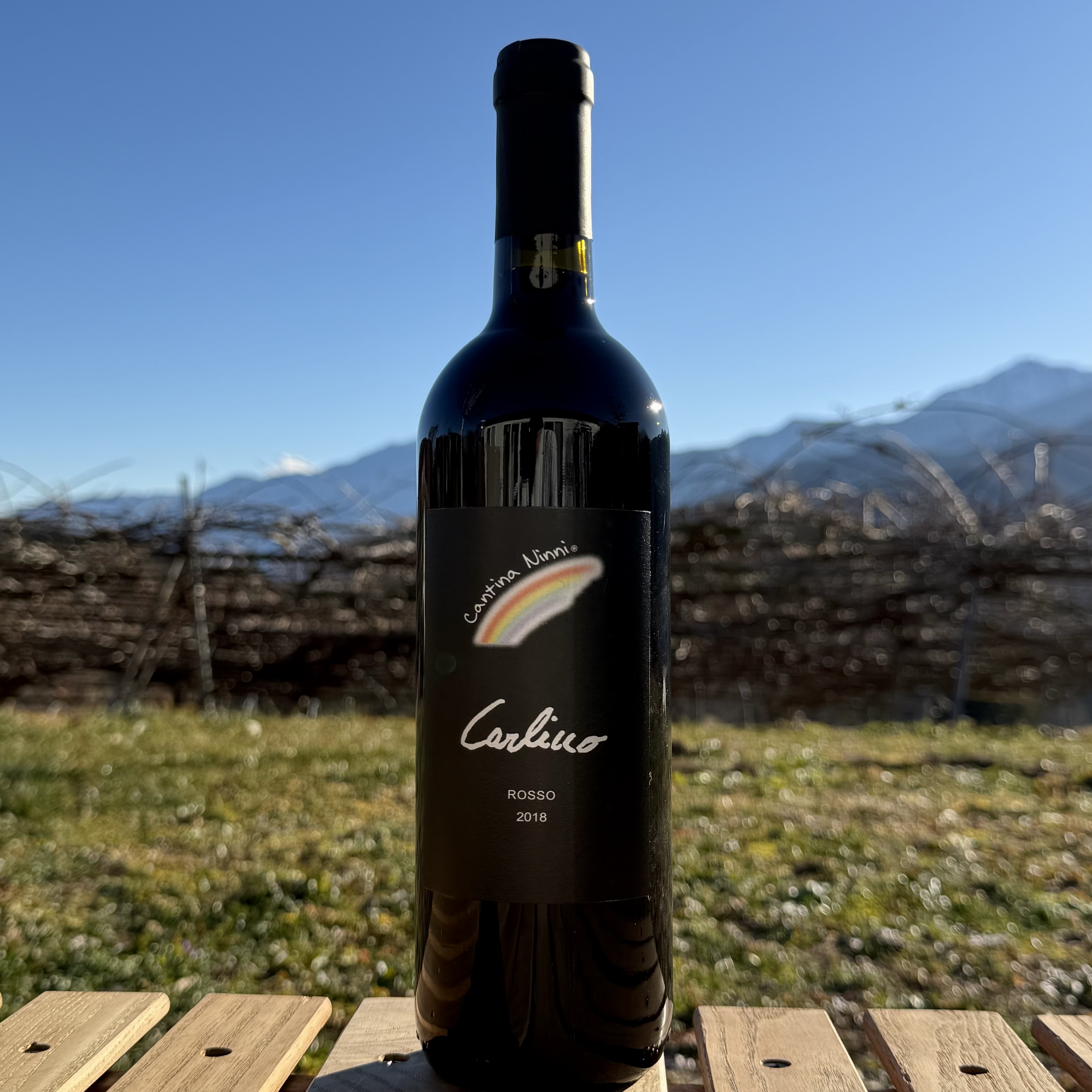 カルリーノ ウンブリア ロッソ 2018