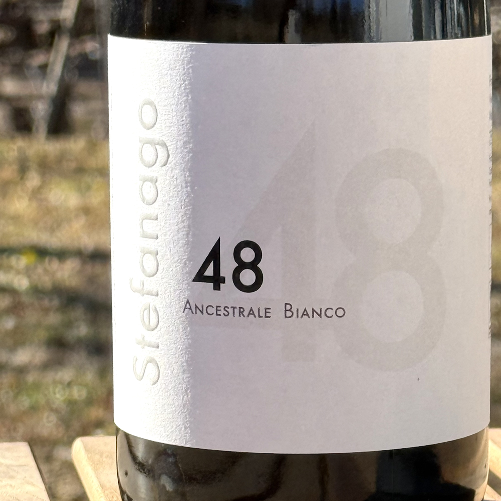 ステファナーゴ アンチェストラーレ ビアンコ 48