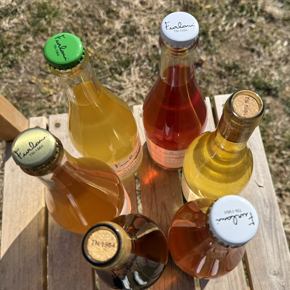 自然派・白微発泡＞”アルピーノ” ビアンコ・フリッツァンテ NV (L.2023