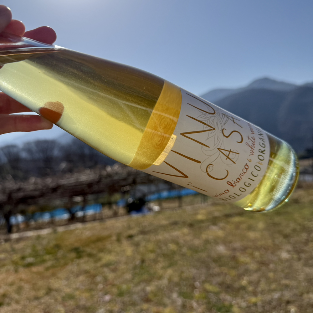 ヴィヌ・イ・カーサ・ビアンコ