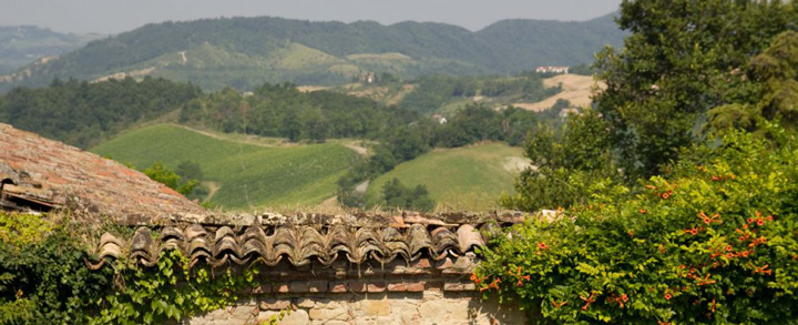 良質なスプマンテの産地、オルトレポ・パヴェーゼの生産者、カステッロ・ディ・ステファナーゴの葡萄畑