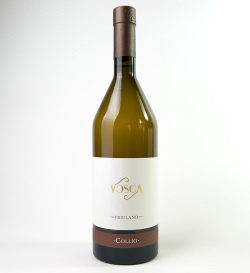 フリウリ ヴェネツィア ジューリアの代表的な白ぶどうの品種、フリウラーノ100％から作られた辛口の白ワイン、フリウラーノ D.O.C. コッリオ 2021