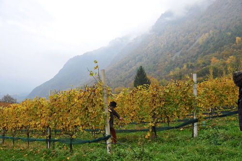 シュタッハルブルグ